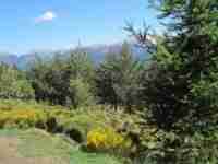 Location chalet vacances Bolquère