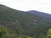Location gîte vacances Saint-martin-de-boubaux