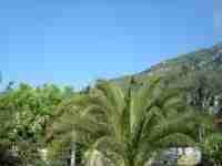Location appartement vacances Le bar-sur-loup