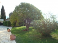Location appartement vacances Le bar-sur-loup