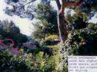 Location maison mitoyenne vacances Hyères