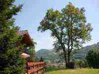 Location chalet vacances Le thillot