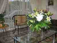 Location studio vacances Juan-les-pins