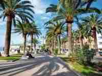 Location appartement vacances Location saisonniere cote des palmiers Italie