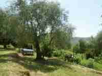 Location maison mitoyenne vacances Location Cote d'Azur