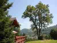 Location chalet vacances Le thillot