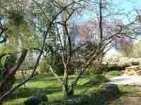 Location maison indépendante vacances Joncreuil