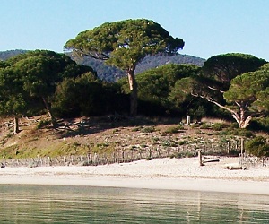 Plage de Palombaggia en Corse