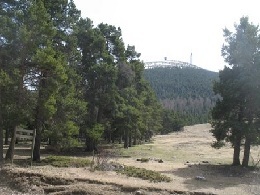 Neige sur le Ventoux