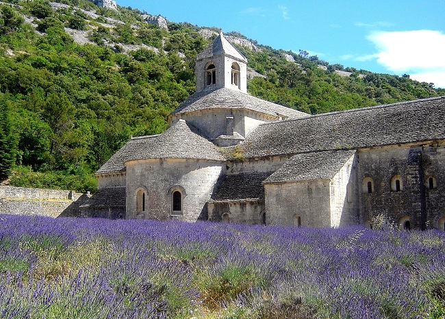 Visite abbaye de Senanque en Provence