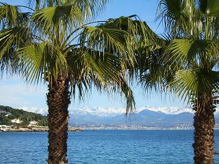 Antibes entre palmier, mer et neige