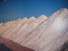 Les Salins proche Aigues Mortes