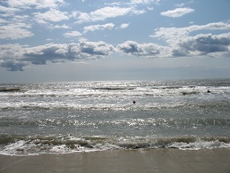 Plage en Camargue