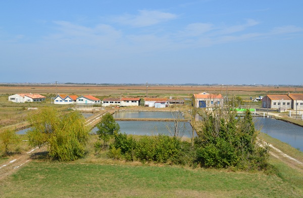 Vue sur les parcs à huitre depuis le chemin de ronde de la citadelle de Brouage