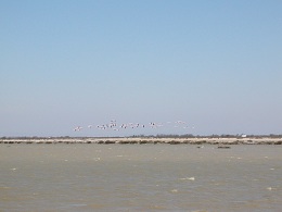 Les Salins