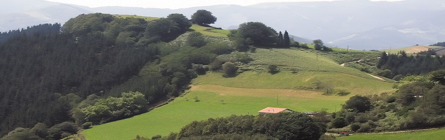 Campagne au pays basque