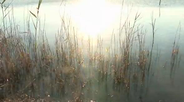 Etang de Thau coucher de soleil