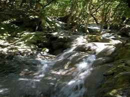 Cascade dans les gorges du Verdon