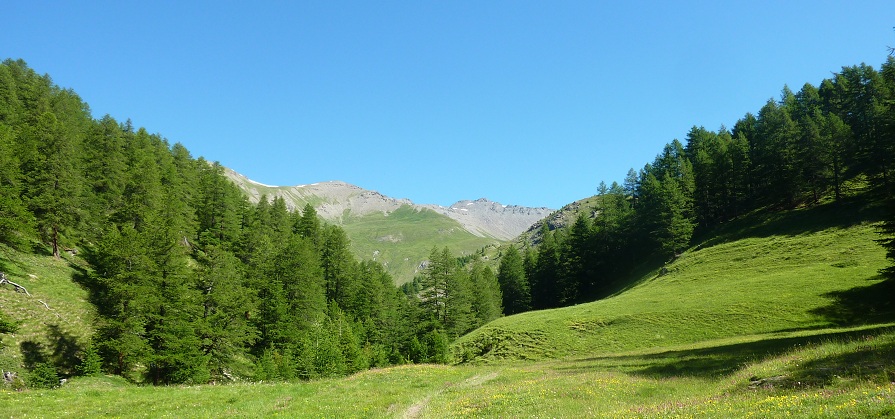 Sentier vers le Ceillac - Queyras