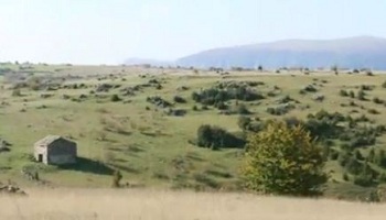 plateau cevennes