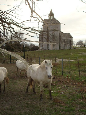 Chapelle de Ste Croix - abbaye de Montmajour