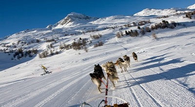 chiens de traineaux dans les pyrenees