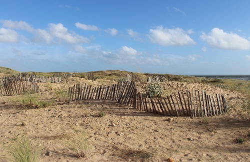 Dunes à St Jean de Monts en Vendée