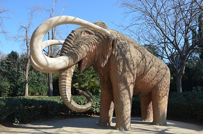 L'éléphant du parc de la Ciutadella de Barcelone
