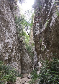 Les gorges du Regalon dans le Luberon