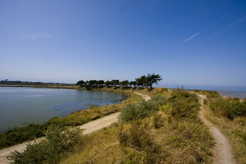 l'île de Noirmoutier au nord des Sables d'Olonne