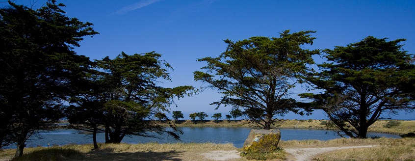 Insel Noirmoutier Frankreich