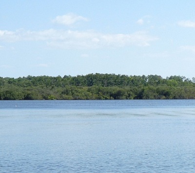 Lac d'Aureillan dans les Landes