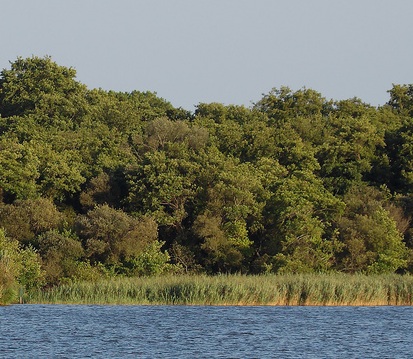 Lac de Soustons