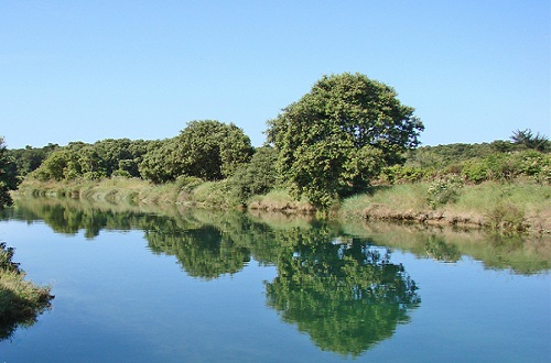 Les marais d'Olonne