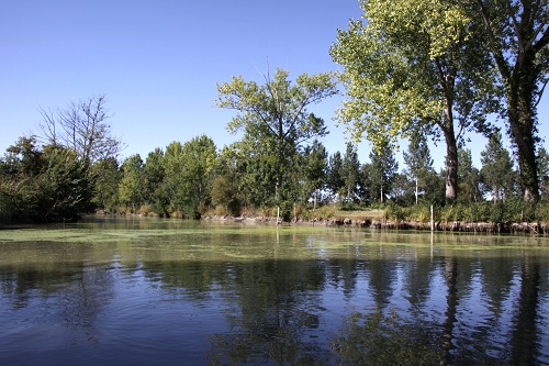 Le Marais Poitevin en Charente Maritime