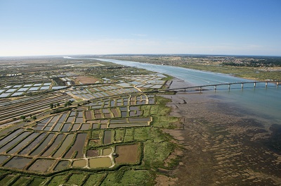 Le port ostréicole de Marennes