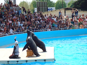 Le parc de Marineland Antibes