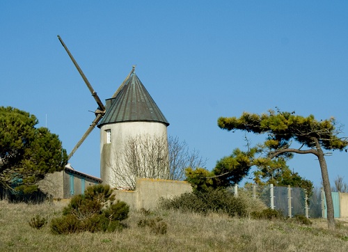 Les moulins de la Guérinière à Noirmoutier
