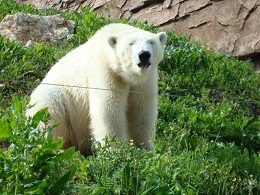 Ours Marineland