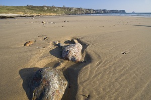 plage finistere