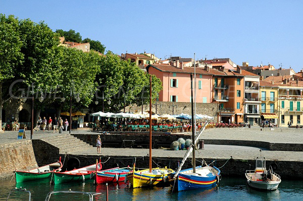 Port de Collioure