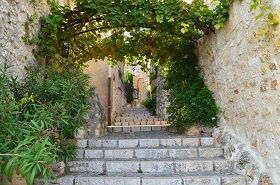 Une ruelle de St Paul avec des plantes