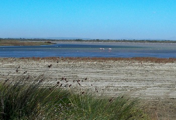 Station balneaire de Salin de Giraud