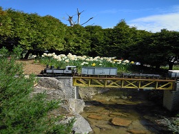 maquette chemin de fer