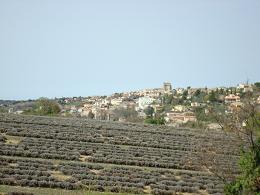 Village de Valensole et champ de lavande