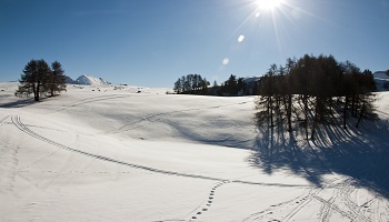 paysage des vosges