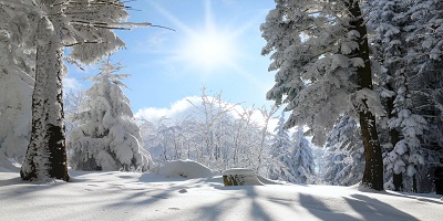 montagne dans les vosges