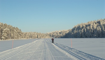 ski nordique dans les vosges