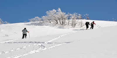 randonnee raquettes  dans les vosges