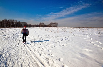 randonnee ski de fond vosges